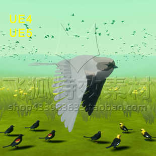 Blackbirds Beefy Niagara Bird 包更新 System UE5蓝图