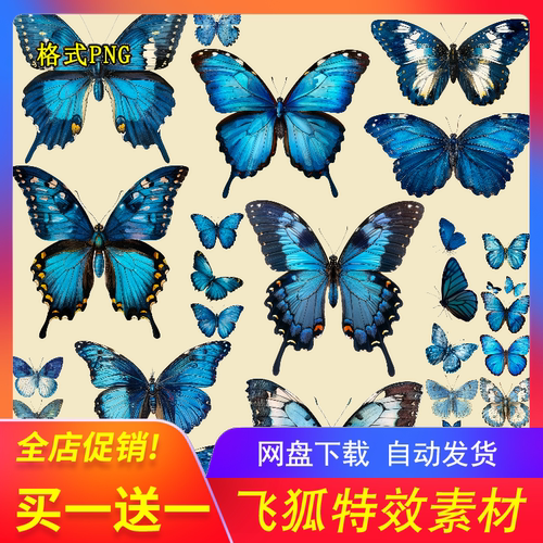 复古蝴蝶高清PNG免抠图PS贴纸