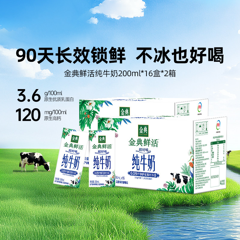 [樊振东同款]金典正品鲜活纯牛奶200ml*2箱原生营养青少年蛋白质