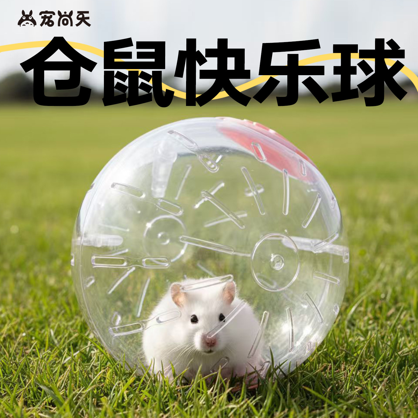 宠尚天仓鼠跑轮运动跑步球玩具滚轮支架金丝熊用品透明外带跑球
