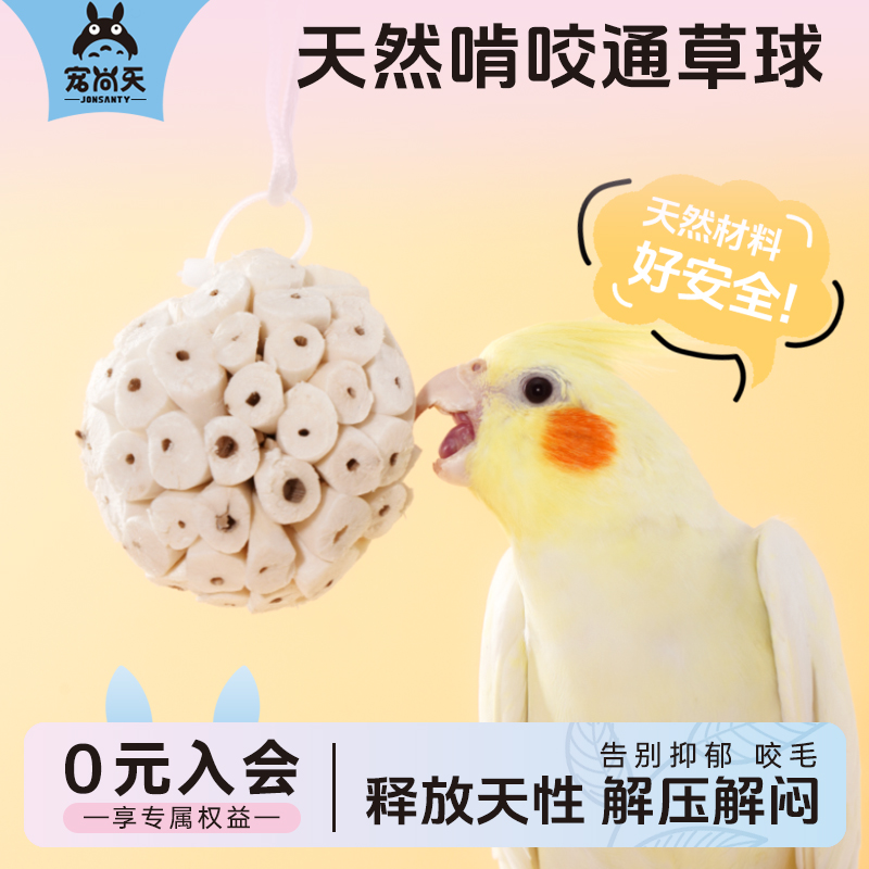 宠尚天鹦鹉玩具通球草趣味玩耍