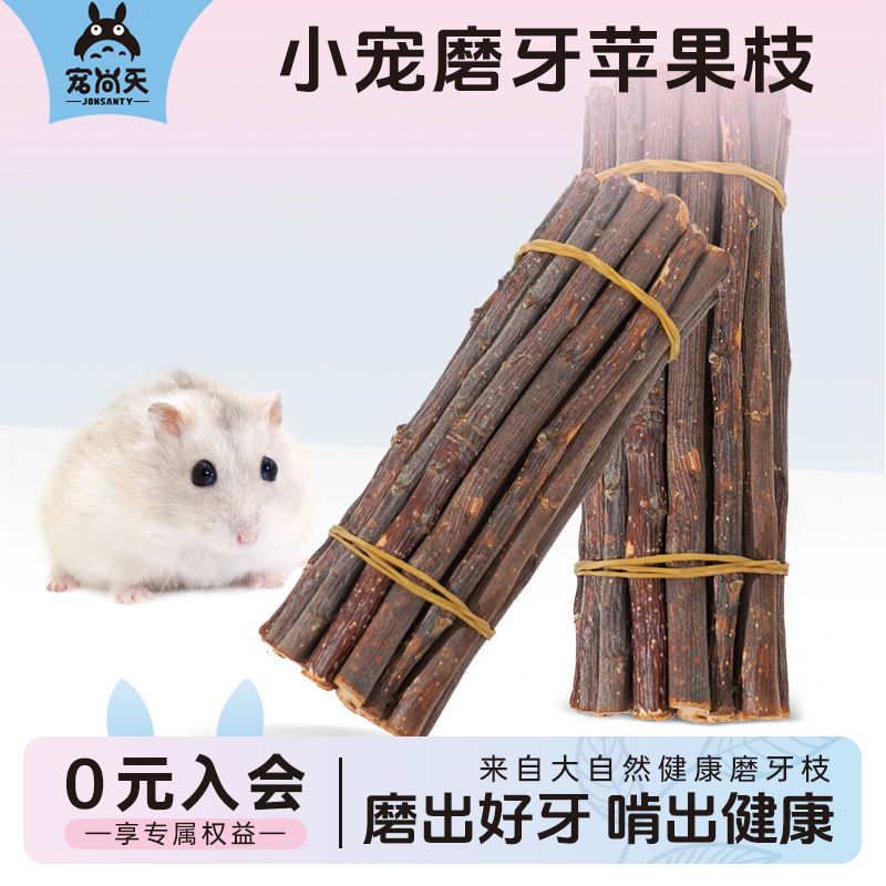 仓鼠磨牙棒增强互动培养感情用品