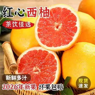 特级南非红心西柚4个8个新鲜水果进口葡萄柚红柚子 包邮