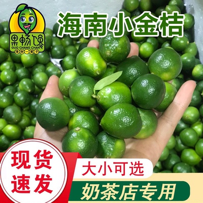 海南主打奶茶店2斤包邮新鲜水果