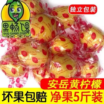 四川安岳新鲜黄柠檬2-3级水果