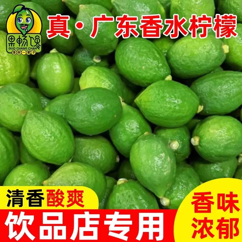 广东香水柠檬现货5斤采摘免邮