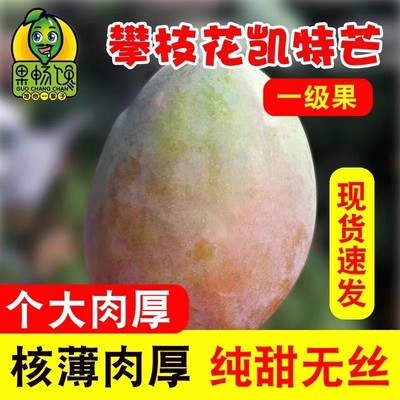 四川攀枝花凯特大芒果水果新鲜