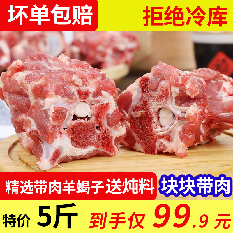 羊蝎子新鲜多肉5斤羔羊火锅烧烤