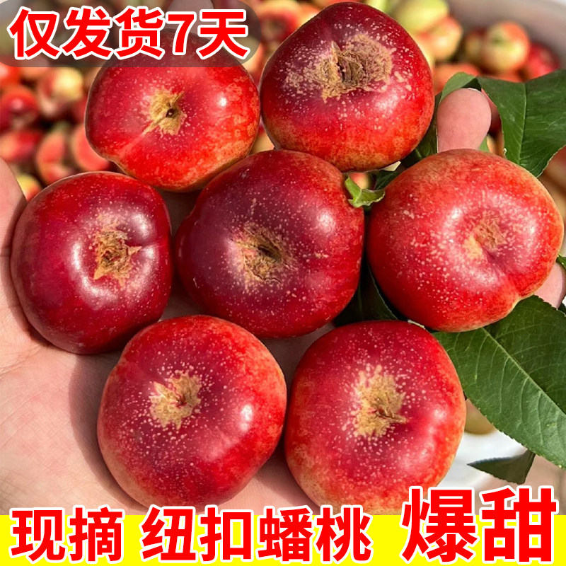 2026蒙阴纽扣蟠桃当季整箱孕妇水果蟠桃脆甜扁桃小桃子现摘油蟠桃