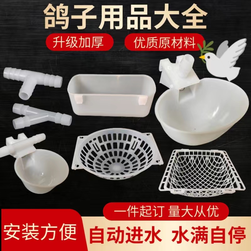 鸽子肉鸽种鸽自动饮水器蛋窝