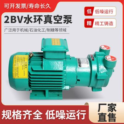 2BV系列水环式真空高压泵抽气泵工业蒸汽水分离泵2060/2070真空泵
