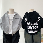 休闲运动卫衣开衫 男童春装 中小童韩版 儿童纯棉连帽拉链衫 外套新款