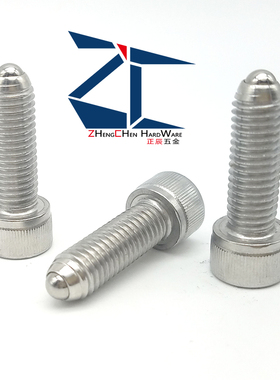 ZAK02重型内六角螺栓型球头柱塞BPRH10/12/16圆柱头弹簧定位珠