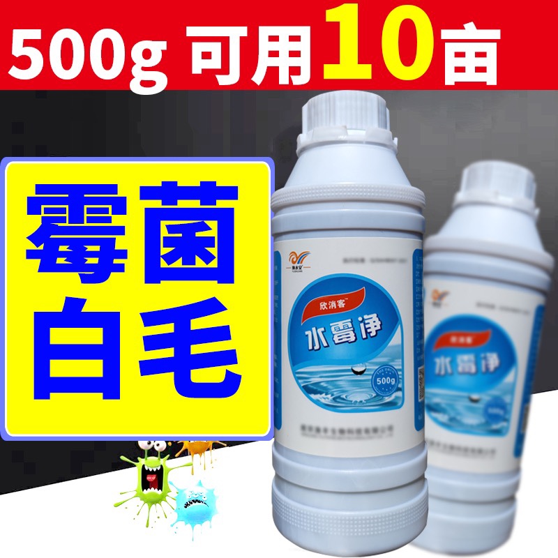 水霉病水霉清鱼塘白毛病水产养殖鱼药水杨酸水霉净鱼用水霉病专治