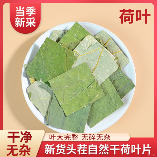 荷叶片清新新货新鲜免洗原味采摘原色新鲜精选泡茶散装正宗泡水