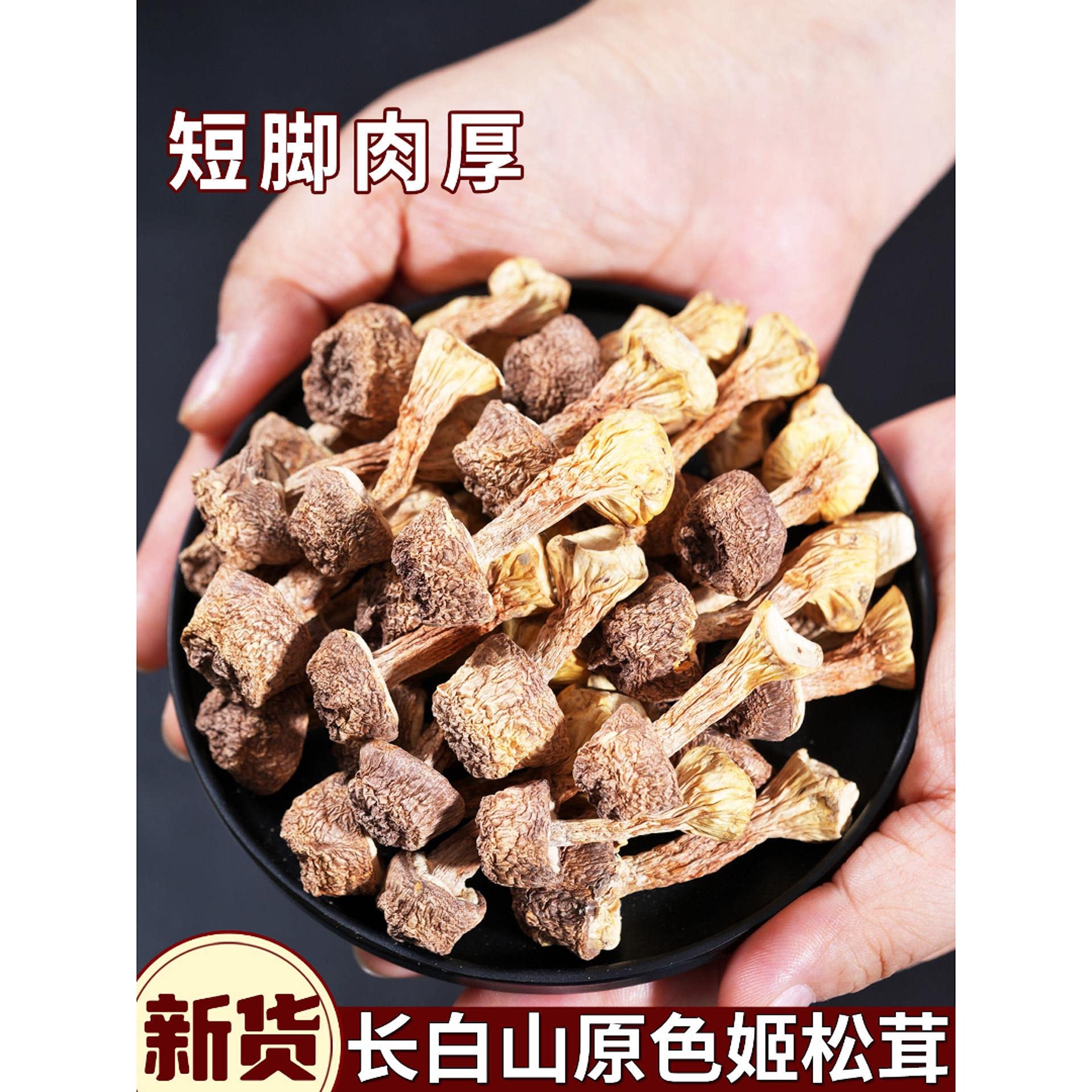 长白山姬松茸干货松茸菇新鲜煲汤食材新货的菌菇巴西菇东北姬松茸