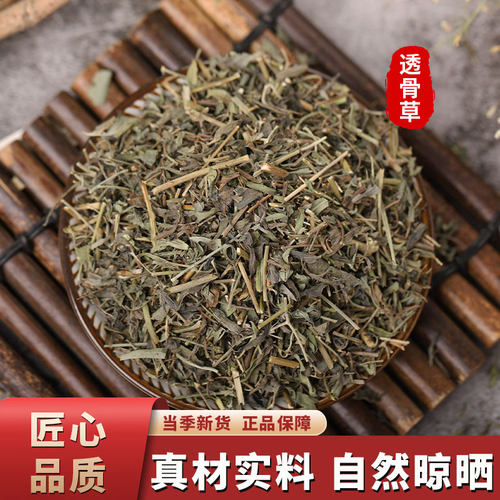 透骨草散装新鲜无硫中药材