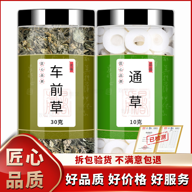 车前草通草中药材新鲜正品干货车钱草大通草泡茶泡水的功效与作用