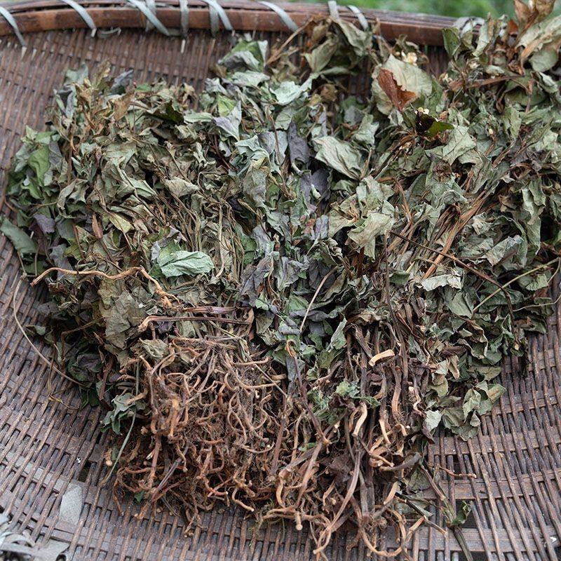 野生鱼腥草干货鱼腥草折耳根晒干泡水喝正品新货鱼腥草茶农家自晒