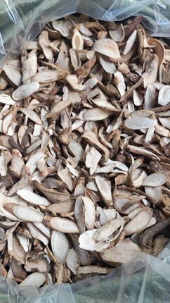 野生白芍片无硫新鲜白芍现挖农家晒干白芍片生芍药正宗非杭白芍