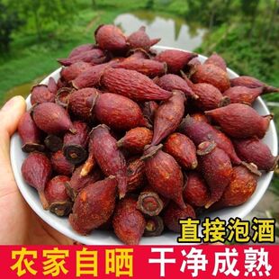 野生金樱子干货金樱子干泡酒料刺梨子金樱果金英子糖罐子