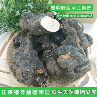 秦岭野生猪苓猪苓片中药材野生猪苓天然正品猪苓猪苓汤干品无硫