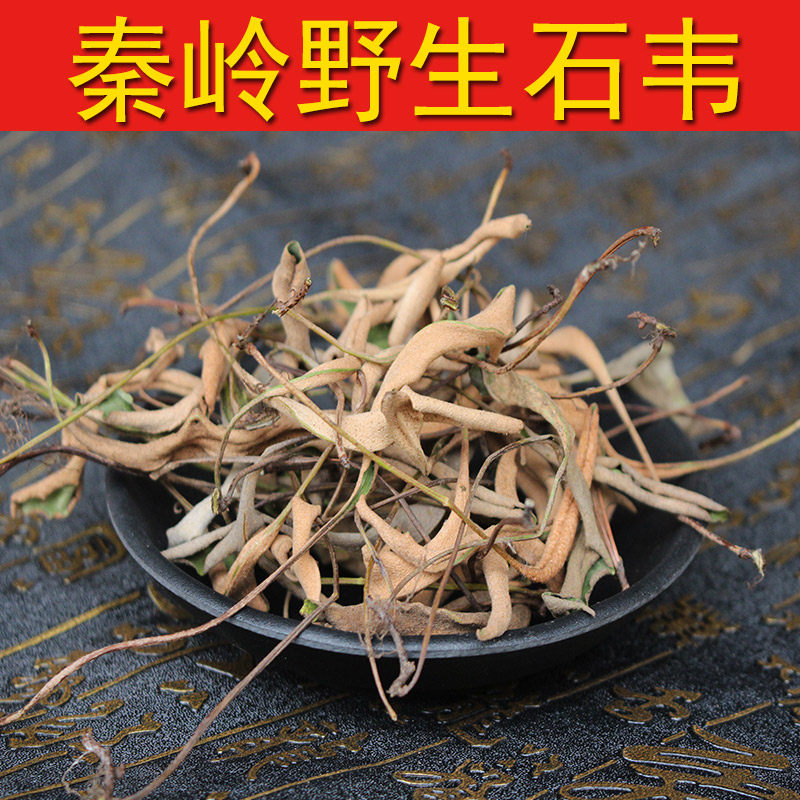 四川野生石韦草晒干石苇刀尖草干货手工挑选石苇草石韦