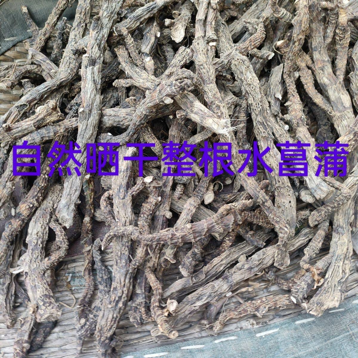 野生水菖蒲老根泥菖莆臭蒲根水菖蒲草根水剑草菖蒲龙根干货