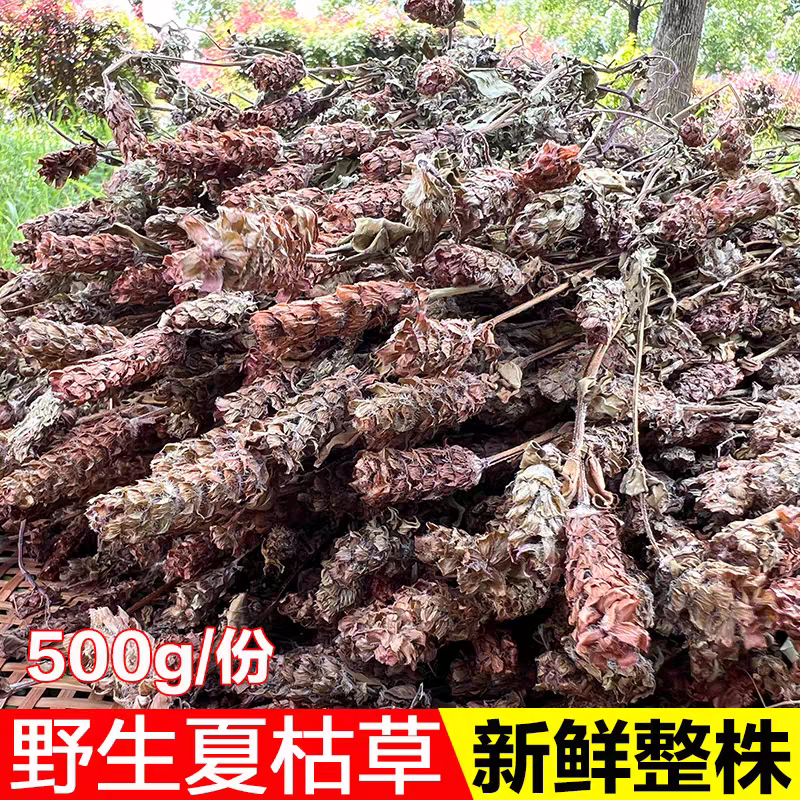 夏枯草夏枯球全草野生白毛夏枯草凉茶夏枯花新货夏枯草球