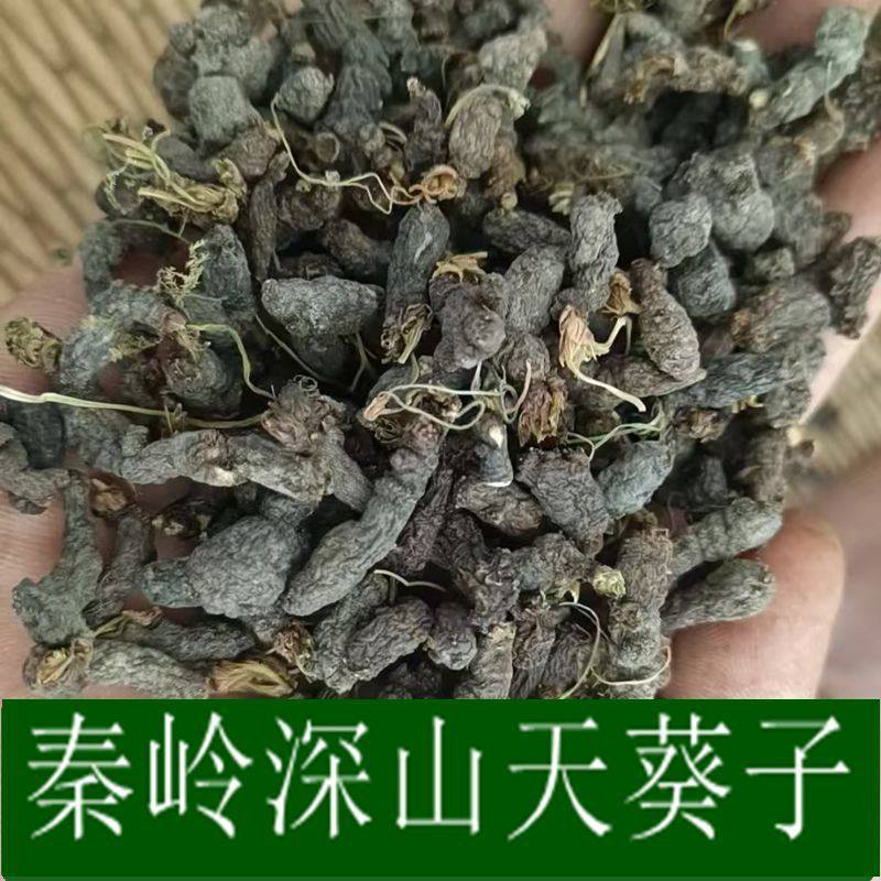 秦岭深山野生天葵子干货秦岭正品野生天葵子无硫千年老鼠屎