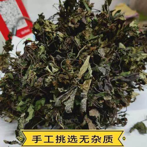 秦岭深山大叶肺心草干货无硫无添加自然晒干肺心草