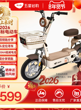 五星钻豹48V20AH电动车2026新国标电动自行车两轮智能电瓶车A39
