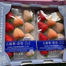 正宗古都华三色草莓士多啤梨日本品种国产草莓淡雪草莓白雪草深圳
