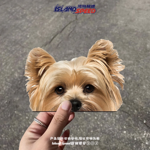 约克夏梗犬贴纸可爱长毛宠物狗半头样式车身笔记本电脑贴画