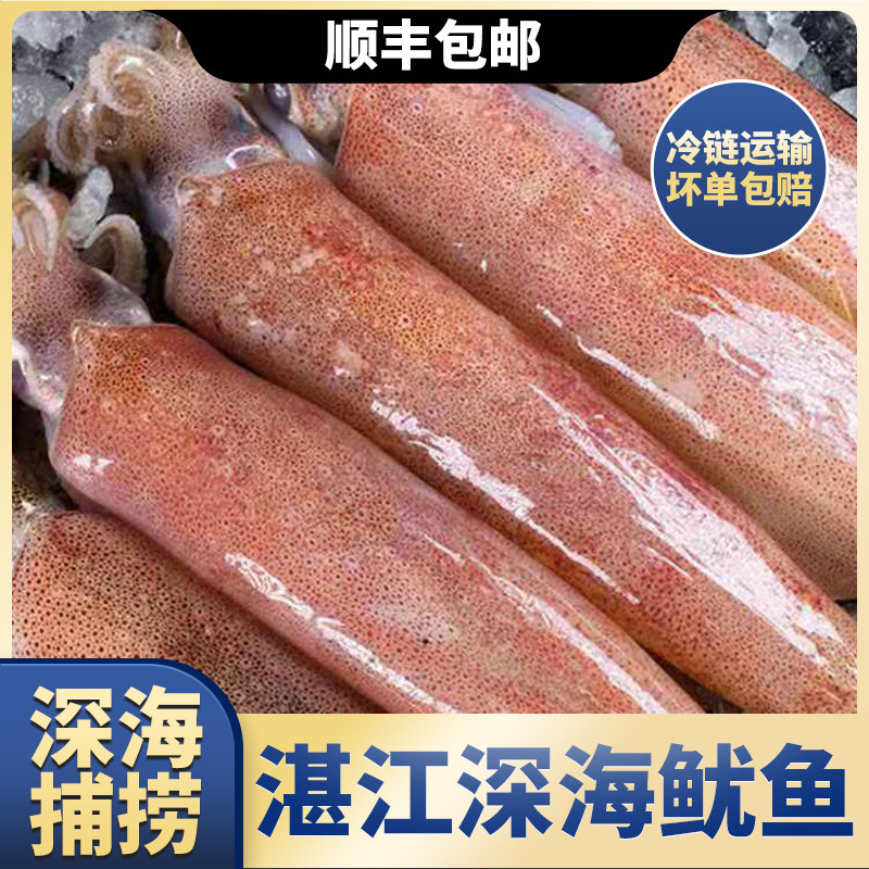 【3斤】湛江新鲜鱿鱼水产冷冻大鱿鱼须海鲜小管鱿鱼烧烤铁板食材