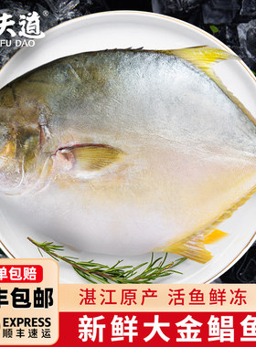 潮夫道湛江金鲳鱼新鲜冷冻特大