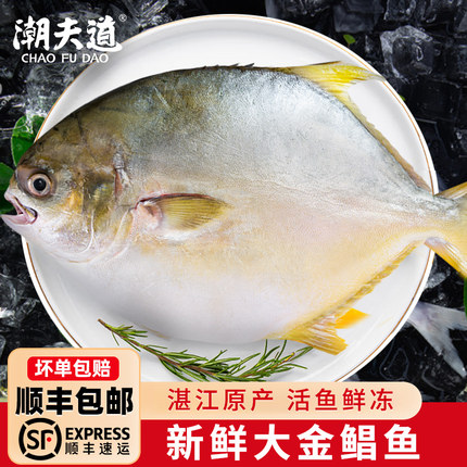 【顺丰】潮夫道湛江金鲳鱼新鲜冷冻特大金昌鱼海鱼海鲜水产鲜活