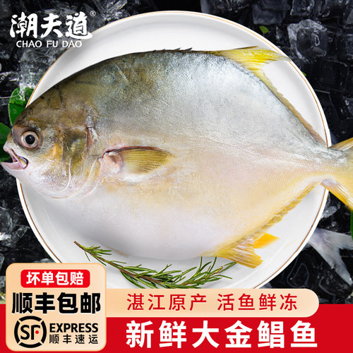 潮夫道湛江金鲳鱼新鲜冷冻特大