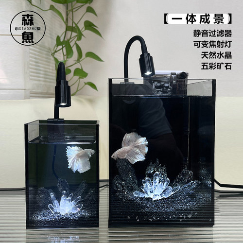 水晶暗黑风格免换水超白斗鱼缸