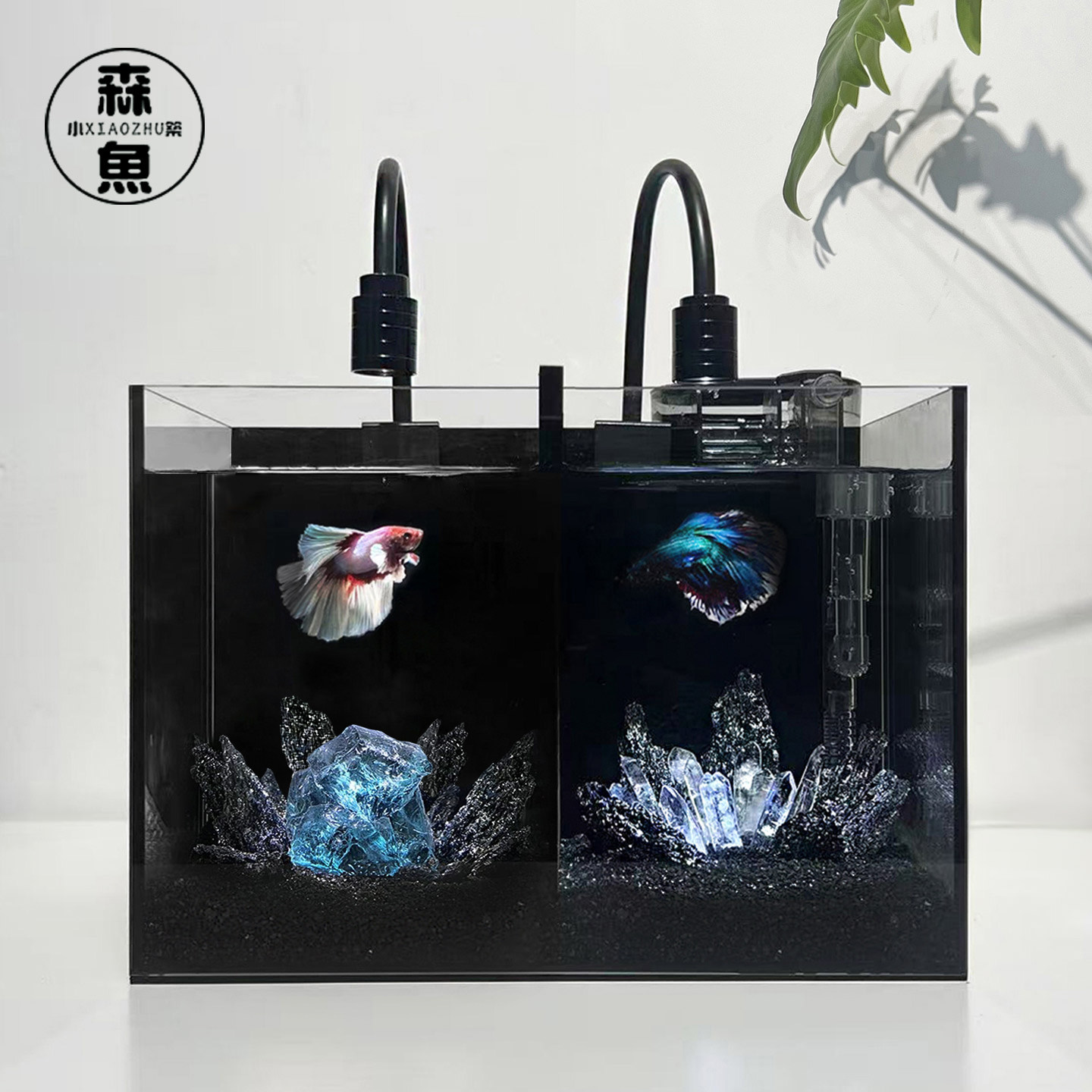桌面恒温斗鱼缸小型超白玻璃分割双格专用双缸加盖对练原生态鱼缸