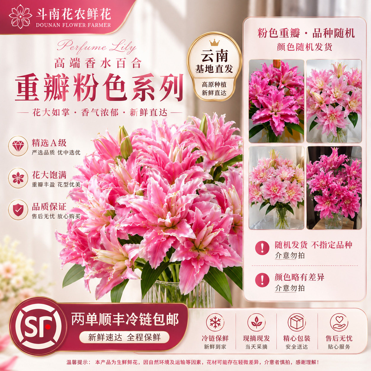 重瓣香水百合鲜花鲜切花云南直发花束家用插花顺丰次日达水养花卉