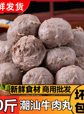 潮汕牛肉丸商用火锅食材整箱牛筋丸子麻辣烫串串烧烤半成品