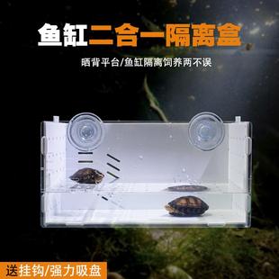 乌龟发色盒鱼缸内亚克力悬浮晒台隔离盒吸盘孵化器白色透明红面蛋