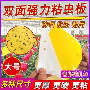 茎蜂黄板双面粘虫诱虫板果园果蝇针蜂蓟马蓝板飞虫大棚板