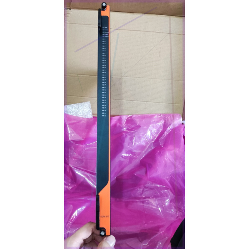 拍前询价：和利时SIS模块 SGM610 SGM410 SGM210