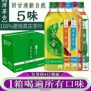 可口可乐淳茶舍无糖玉露绿茶饮料480ml整箱装大红袍乌龙茶普洱茶