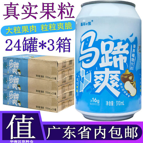 隐雪马蹄爽果粒果肉饮料310ML*24
