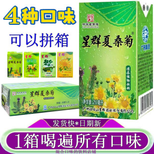 星群夏桑菊凉茶植物饮料250ml*24盒整箱装含菊花金银花罗汉果甘草