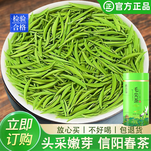 2026新茶毛尖绿茶高山栗香明前毛尖茶叶信阳春茶浓香型礼罐装送礼