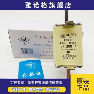 飞灵RS32 NGTC1-250A 690V-100KA快速熔断器200A160A上海电器陶瓷